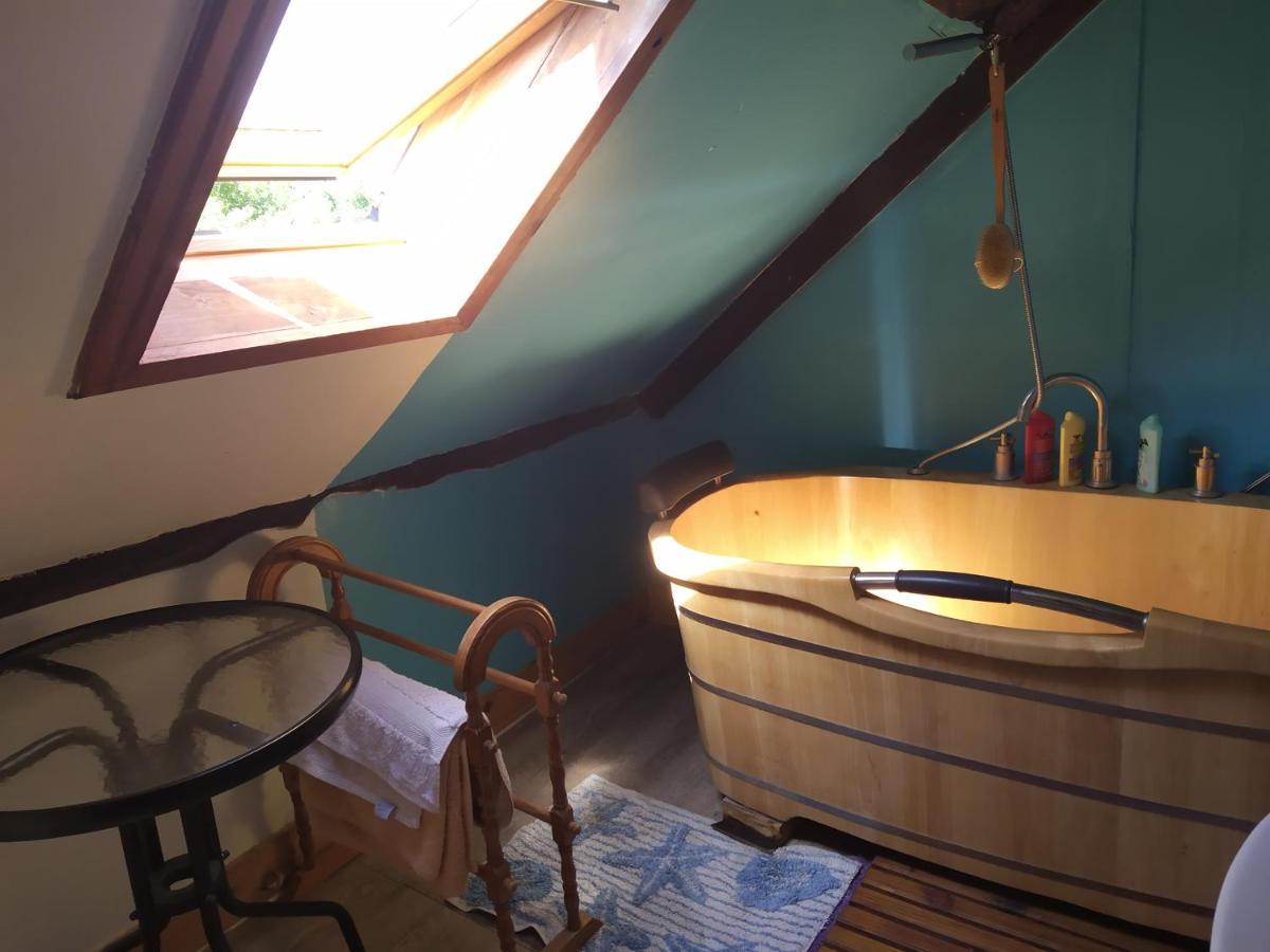 Maison En Granit Bleue Lanhelin エクステリア 写真